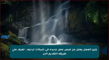وزير العمل يعلن عن فرص عمل جديدة في شركات أردنية.. تعرف على طريقة التقديم الآن